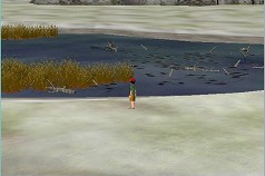 画像ギャラリー No.009のサムネイル画像 / スターフィッシュ・エスディ,「スーパーブラックバスオンライン」のサービスを発表。本日3:00PMに“オープンβ”開始
