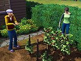 画像ギャラリー No.017のサムネイル画像 / 新しいシムズはこうなってしまった。EA,「The Sims 3」の詳細を発表