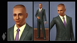 画像ギャラリー No.014のサムネイル画像 / ［GC 2008＃08］久々にメディアの前に登場した「The Sims 3」は開発順調の様子