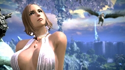 画像ギャラリー No.003のサムネイル画像 / ［G★2009］「TERA」のプレス向け進捗報告会が開催。フィードバック重視，妥協は一切しないという開発スタンスを表明