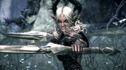 画像ギャラリー No.004のサムネイル画像 / ［G★2009］「TERA」のプレス向け進捗報告会が開催。フィードバック重視，妥協は一切しないという開発スタンスを表明