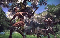 画像ギャラリー No.007のサムネイル画像 / ［G★2009］「TERA」のプレス向け進捗報告会が開催。フィードバック重視，妥協は一切しないという開発スタンスを表明