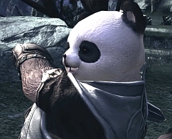 画像ギャラリー No.009のサムネイル画像 / ［G★2009］「TERA」のプレス向け進捗報告会が開催。フィードバック重視，妥協は一切しないという開発スタンスを表明
