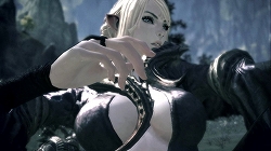画像ギャラリー No.011のサムネイル画像 / ［G★2009］「TERA」のプレス向け進捗報告会が開催。フィードバック重視，妥協は一切しないという開発スタンスを表明