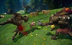 画像ギャラリー No.011のサムネイル画像 / ［GDC 2010］男性版ケスタニックも使用可能，北米版「TERA」ミニレポート