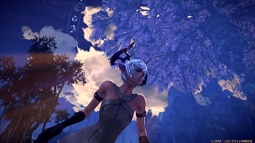 画像ギャラリー No.010のサムネイル画像 / 「TERA」の“日本語版”がついにプレスに向けて初公開! 動画とスクリーンショットも大量セットでお届けする先行体験会速報