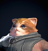 画像ギャラリー No.120のサムネイル画像 / 「TERA The Exiled Realm of Arborea 」キャラエディットの自由度は? 超美麗キャラクターをカスタマイズしてみよう