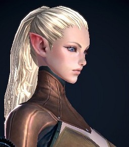 画像ギャラリー No.127のサムネイル画像 / 「TERA The Exiled Realm of Arborea 」キャラエディットの自由度は? 超美麗キャラクターをカスタマイズしてみよう