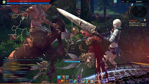 画像ギャラリー No.016のサムネイル画像 / 注目作「TERA」のCBTを振り返り，来るべきOBTに向けての意気込みなどを，日本総合プロデューサーに聞いてみた