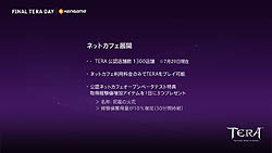 画像ギャラリー No.009のサムネイル画像 / 秋葉原がTERA一色に染まった「FINAL TERA DAY」の様子を,開発会社CEOへのミニインタビューとともに紹介