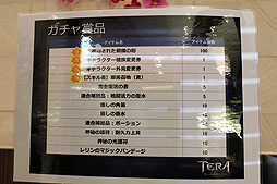 画像ギャラリー No.018のサムネイル画像 / サーバー統合への言及もあり。「TERA」の正式サービス開始後初となるオフラインイベントを,新任プロデューサーへのインタビューと共に紹介