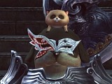 画像ギャラリー No.015のサムネイル画像 / 「TERA」のキャラクターにさらなる個性を! 大型アップデート「アルゴンの女王 PART.1」では,装飾アクセサリなどの新アイテムが大量追加