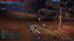画像ギャラリー No.061のサムネイル画像 / 【PR】今なら「TERA」の最高画質設定も余裕でしょ。ってことで見逃されがちな景色にフォーカスしてレベル40までの名所をぶらつく