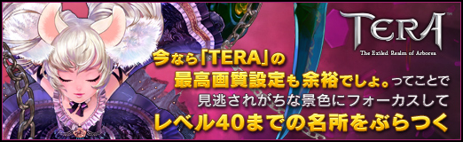 画像ギャラリー No.108のサムネイル画像 / 【PR】今なら「TERA」の最高画質設定も余裕でしょ。ってことで見逃されがちな景色にフォーカスしてレベル40までの名所をぶらつく