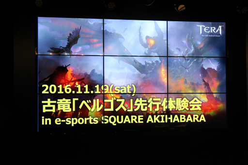 画像ギャラリー No.002のサムネイル画像 / 「TERA」初となるレイドボス「古竜ベルゴス」の先行体験会をレポート。巨大なベルゴスの強さに参加者達も絶句