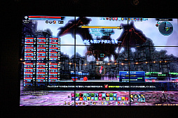 画像ギャラリー No.029のサムネイル画像 / 「TERA」初となるレイドボス「古竜ベルゴス」の先行体験会をレポート。巨大なベルゴスの強さに参加者達も絶句