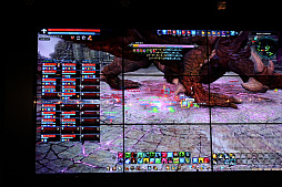 画像ギャラリー No.034のサムネイル画像 / 「TERA」初となるレイドボス「古竜ベルゴス」の先行体験会をレポート。巨大なベルゴスの強さに参加者達も絶句