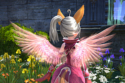 画像ギャラリー No.005のサムネイル画像 / 「TERA」の最新アップデート「極限の覇者」が配信。難度に応じて報酬が豪華になる「極限モード」や,記録カードの合成システムが実装に