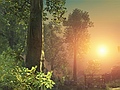 ［GC 2008＃29］JoWooD Productionsが「Gothic」シリーズ新作2本を発表