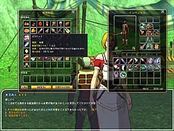 画像ギャラリー No.023のサムネイル画像 / 「Fate Online」改め「紡がれた運命 -Chain of Destiny-」の開発中バージョンを確認
