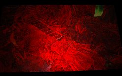 画像ギャラリー No.017のサムネイル画像 / ［COMPUTEX］2010年のNVIDIAは，タブレット，DX11，そして3D立体視。NVIDIAプレスカンファレンス詳報