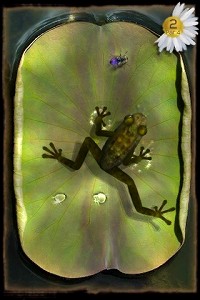 画像ギャラリー No.001のサムネイル画像 / ［iPhone］やけにリアルなカエルを操る異色のパズル「Ancient Frog」を紹介