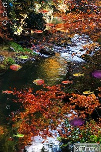 画像ギャラリー No.001のサムネイル画像 / ［iPhone］写真で熱帯魚を育てる「Photo Aquarium」が登場