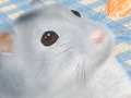 可愛いハムスターと触れ合おう。エイチアイ，「HamTouch!」のiPhone/iPod touch版およびiPad版をリリース