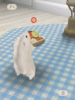 画像ギャラリー No.002のサムネイル画像 / 可愛いハムスターと触れ合おう。エイチアイ，「HamTouch!」のiPhone/iPod touch版およびiPad版をリリース