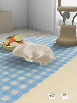 画像ギャラリー No.003のサムネイル画像 / 可愛いハムスターと触れ合おう。エイチアイ，「HamTouch!」のiPhone/iPod touch版およびiPad版をリリース