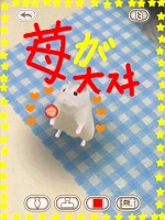 画像ギャラリー No.010のサムネイル画像 / 可愛いハムスターと触れ合おう。エイチアイ，「HamTouch!」のiPhone/iPod touch版およびiPad版をリリース
