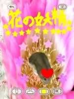 画像ギャラリー No.011のサムネイル画像 / 可愛いハムスターと触れ合おう。エイチアイ，「HamTouch!」のiPhone/iPod touch版およびiPad版をリリース