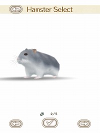 画像ギャラリー No.014のサムネイル画像 / 可愛いハムスターと触れ合おう。エイチアイ，「HamTouch!」のiPhone/iPod touch版およびiPad版をリリース
