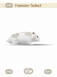 画像ギャラリー No.015のサムネイル画像 / 可愛いハムスターと触れ合おう。エイチアイ，「HamTouch!」のiPhone/iPod touch版およびiPad版をリリース