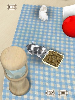 画像ギャラリー No.016のサムネイル画像 / 可愛いハムスターと触れ合おう。エイチアイ，「HamTouch!」のiPhone/iPod touch版およびiPad版をリリース