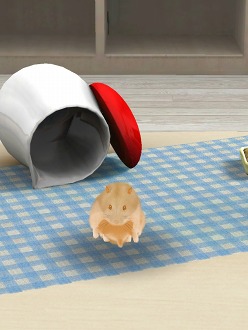 画像ギャラリー No.017のサムネイル画像 / 可愛いハムスターと触れ合おう。エイチアイ，「HamTouch!」のiPhone/iPod touch版およびiPad版をリリース