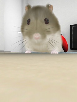 画像ギャラリー No.018のサムネイル画像 / 可愛いハムスターと触れ合おう。エイチアイ，「HamTouch!」のiPhone/iPod touch版およびiPad版をリリース