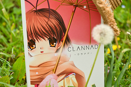 画像ギャラリー No.002のサムネイル画像 / 「CLANNADを愛する人は，Yahoo!掲示板にいた」