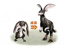 画像ギャラリー No.014のサムネイル画像 / LEVEL∞,「黒い砂漠」「TERA」「AVA」「BLESS」「ArcheAge」各タイトルの推奨PCを刷新