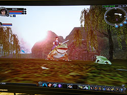 画像ギャラリー No.009のサムネイル画像 / ［CJ 2008＃34］ペットとプレイヤーキャラが合体，新作MMORPG「崢嶸天下Online」がプレイアブル出展