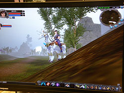 画像ギャラリー No.010のサムネイル画像 / ［CJ 2008＃34］ペットとプレイヤーキャラが合体，新作MMORPG「崢嶸天下Online」がプレイアブル出展