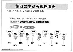 画像ギャラリー No.002のサムネイル画像 / ［CEDEC 2008＃08］生き物を相手にするようなゲームを作る〜遺伝的アルゴリズム