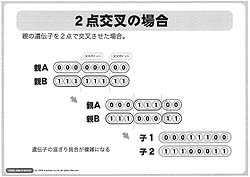 画像ギャラリー No.003のサムネイル画像 / ［CEDEC 2008＃08］生き物を相手にするようなゲームを作る〜遺伝的アルゴリズム