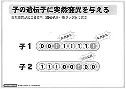 画像ギャラリー No.004のサムネイル画像 / ［CEDEC 2008＃08］生き物を相手にするようなゲームを作る〜遺伝的アルゴリズム