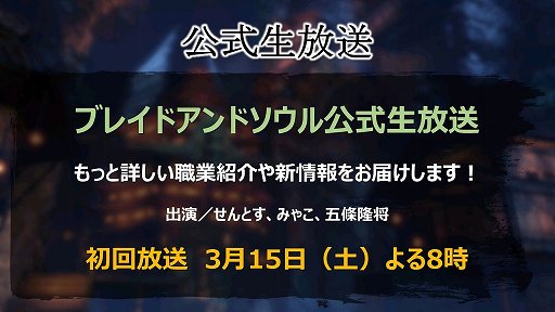 画像ギャラリー No.040のサムネイル画像 / 期待の大型MMORPG「ブレイドアンドソウル」がついに日本に上陸。サービス日程やアニメ，タイアップ情報などが発表されたプレミアショウをレポート