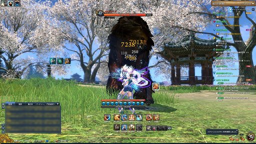 画像ギャラリー No.004のサムネイル画像 / 「ブレイドアンドソウル」の「双舞士」は遠近両対応の戦闘スタイルとパーティを回復するサポート能力を持つ新職業