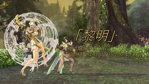 画像ギャラリー No.040のサムネイル画像 / 「ブレイドアンドソウル ジャパンチャンピオンシップ2019」決勝大会で日本一のチームが決定。新職業「弓奏士」実装日も発表された大会レポート