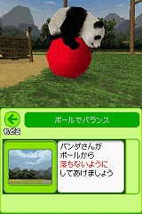 パンダさん日記