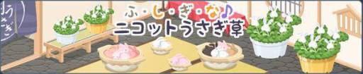 画像ギャラリー No.002のサムネイル画像 / 「Nicotto Town」の4周年記念イベント第2弾で「ニコットうさぎ草」が登場