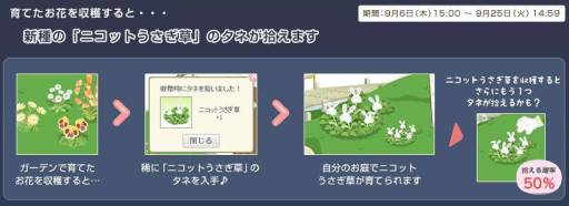画像ギャラリー No.004のサムネイル画像 / 「Nicotto Town」の4周年記念イベント第2弾で「ニコットうさぎ草」が登場